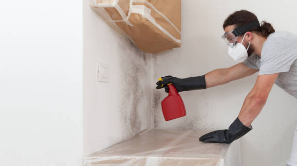 Professional Mold Inspection And Testing technician working in Great River, NY